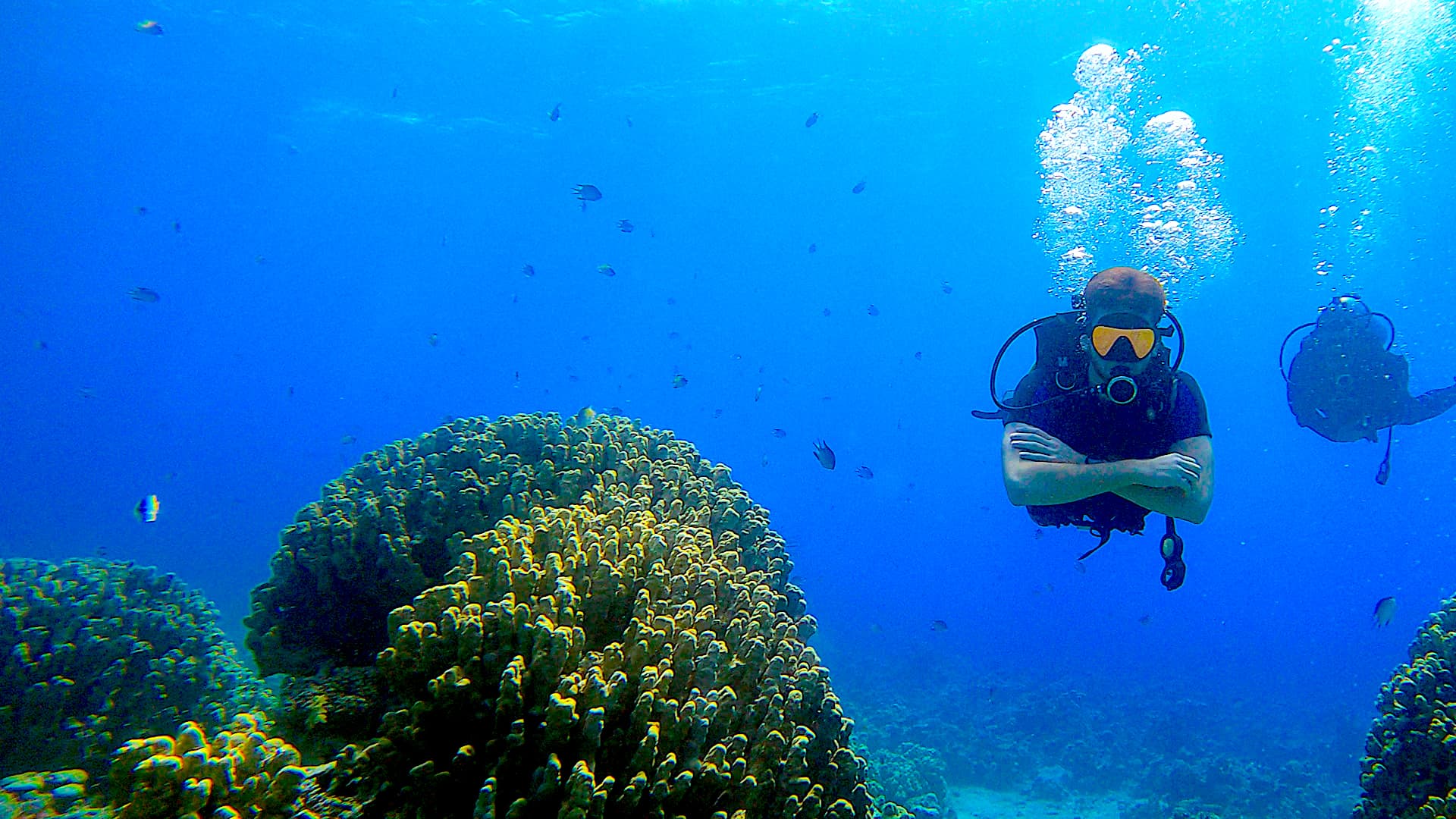 Scuba Dive, Snorkel and Cruise the Red Sea