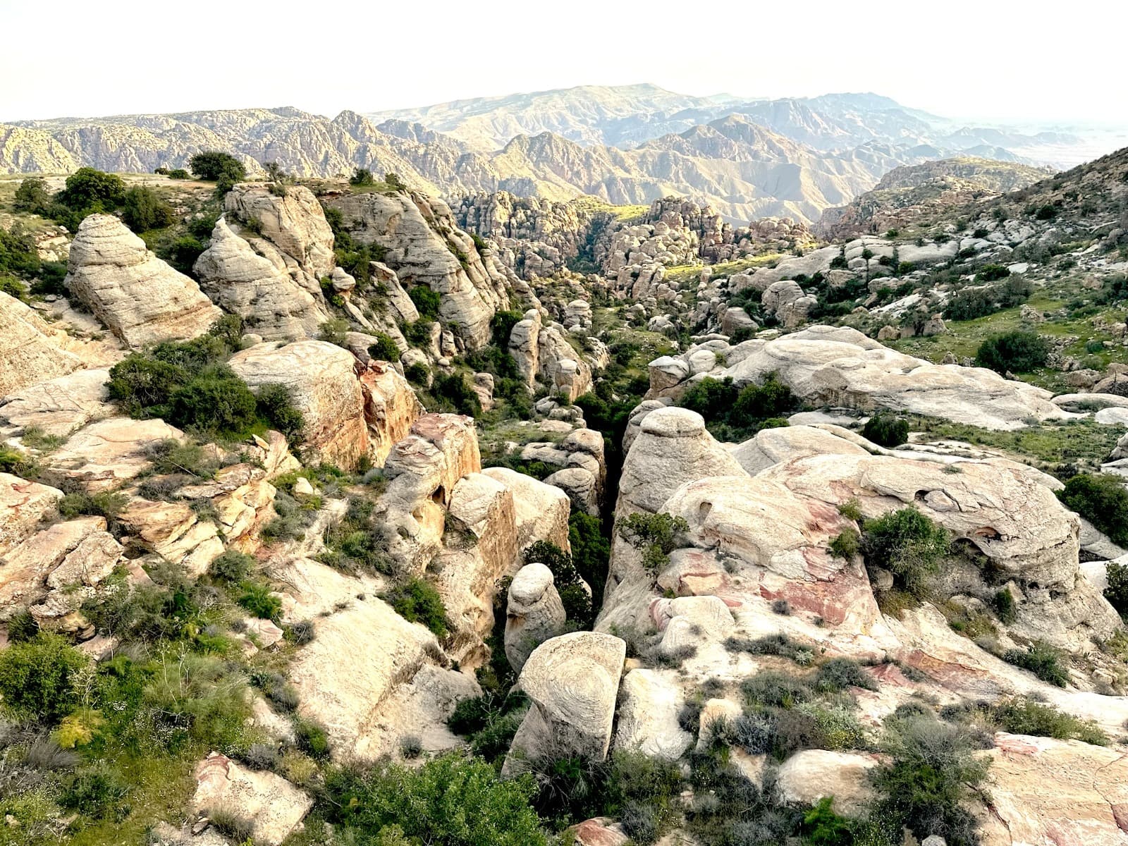 Hike in the Wild