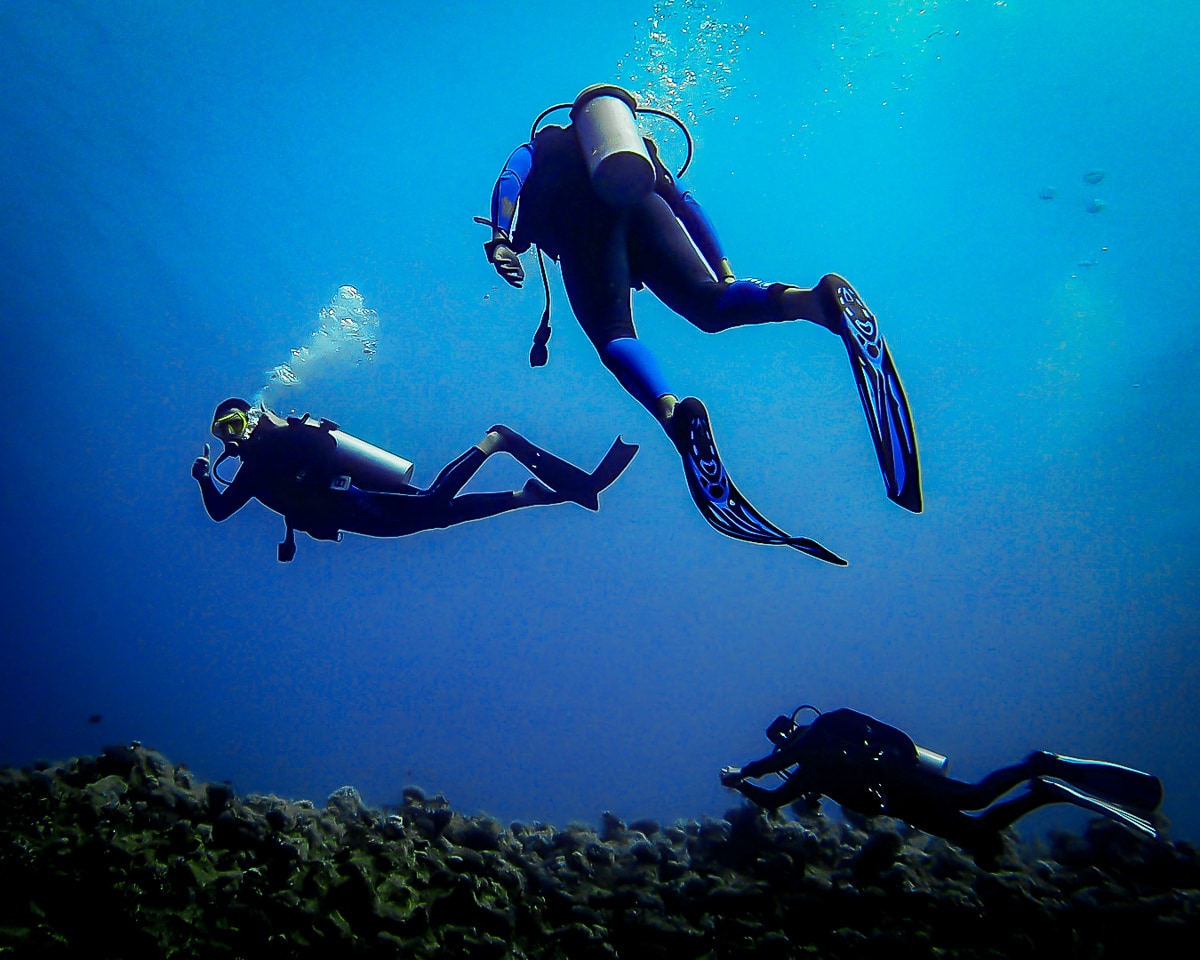 Scuba divers in the Red Sea