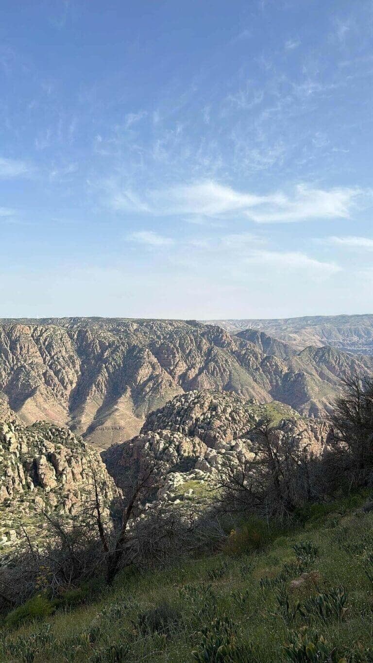 Hike in the Wild